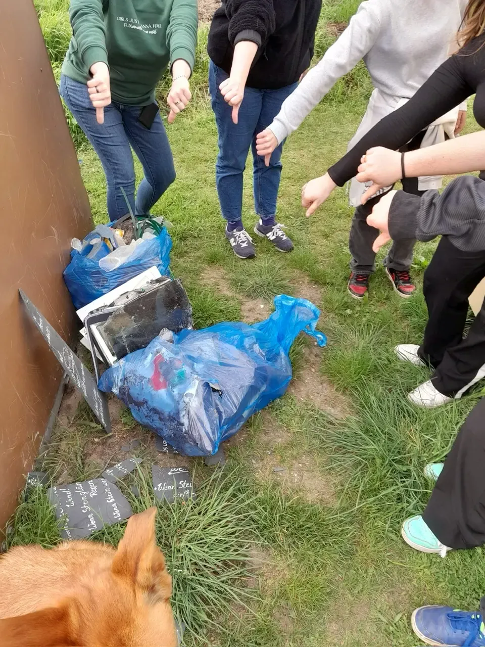 Gruppenarbeit sammelt Müll in Wittenberg