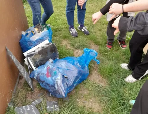 Gruppenarbeit sammelt Müll in Wittenberg