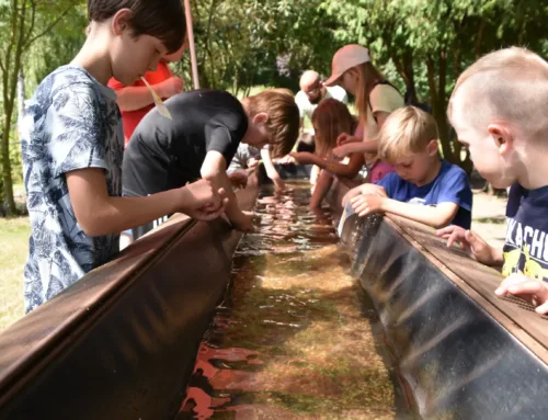 Nachtrag zum Sommerfest am 18.06.2025 im Naturgarten „Vergissmeinicht“